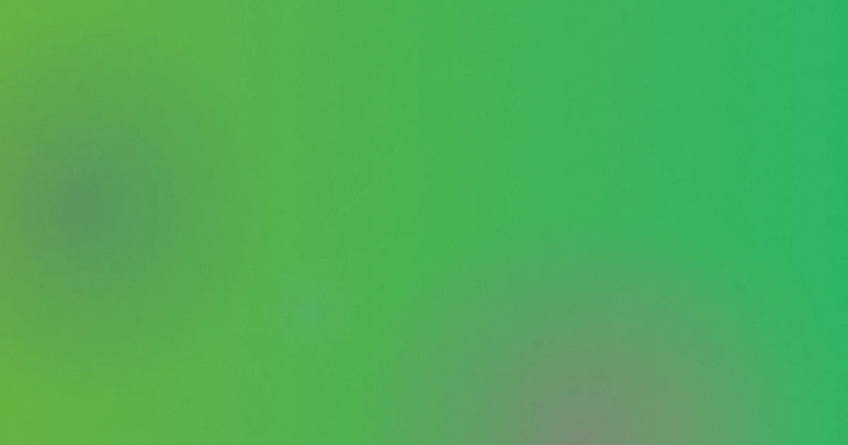 刘易斯推荐：新手先看这几步